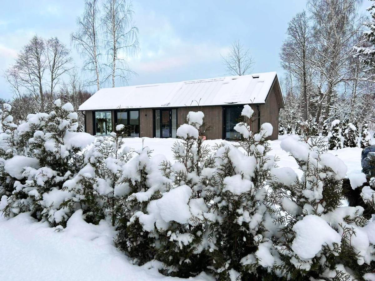 Paerli Puhkemaja / Pearl Riverside House Pudisoo Exterior photo